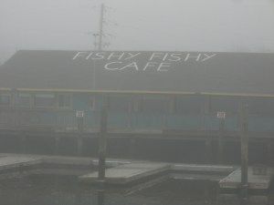 fishy f cafe in fog