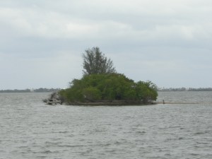 Island in Indian river Nov 2010
