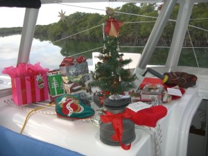 Christmas tree  set up