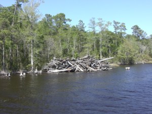 080 PungoAllRivr canal