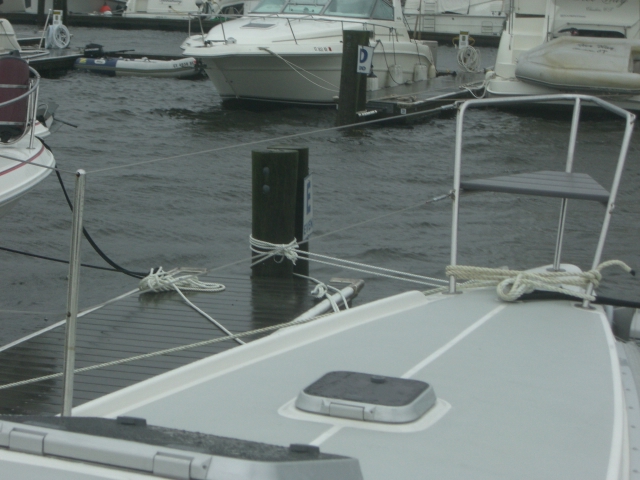 post Irene view piling