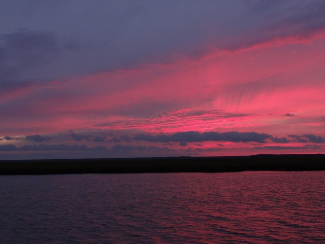 Magenta sunset