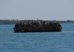 center of the world rock