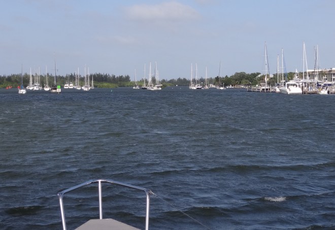waves in Vero mooring field