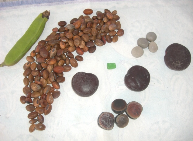 Our collective find of sea beans. 