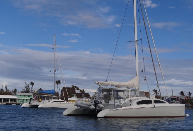 Ortolan and Mambo get acquainted in Hope Town