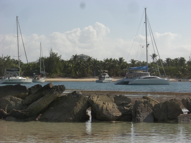 Little Harbour at low tide
