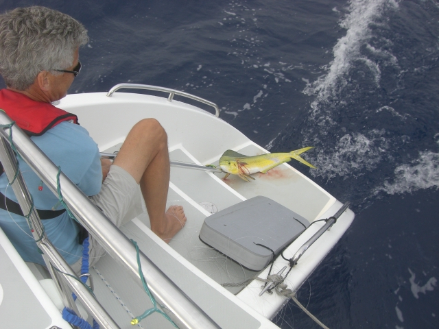 Ms.Mahi makes a mistake in meal munching.