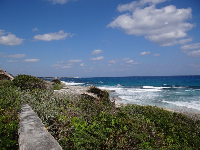 Windy shore- Atlantic side as seen from Stella Maris