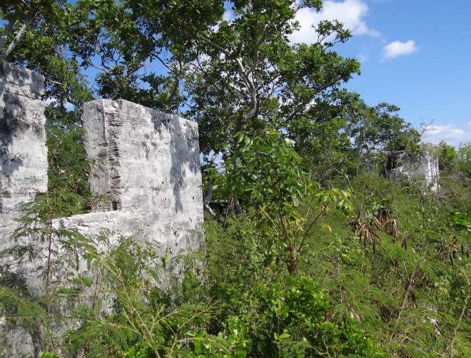 A large wall - Adderley Plantation ruins