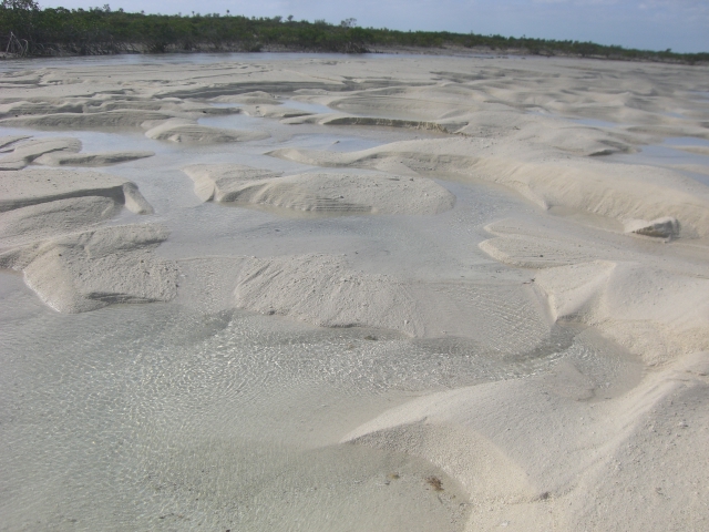 The dry creek bed looks like snow.