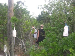 We arrive at the marked path that will lead to the beach
