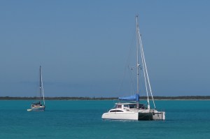 Ortolan resting peacefully in Rock Sound Harbor
