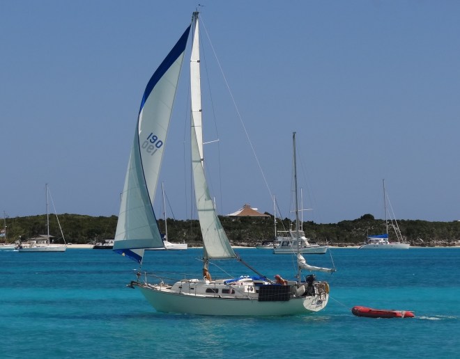 Otter plays with cat- guess who was not under sail?