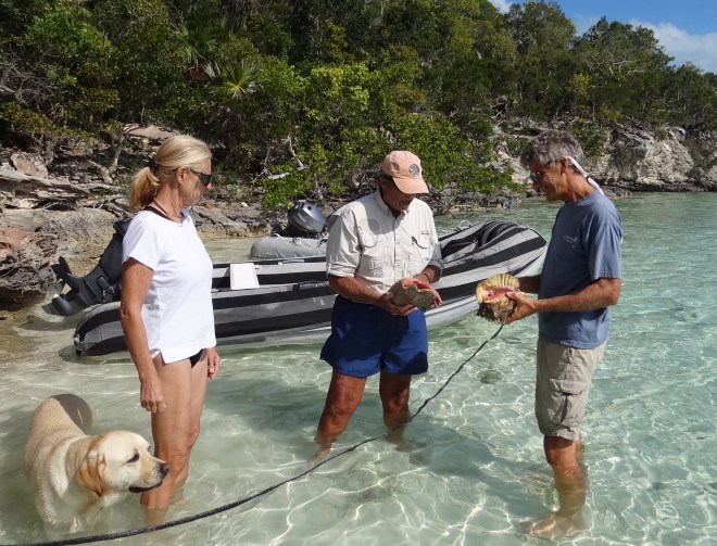 Steve explains conch basics: how to determine approx age.