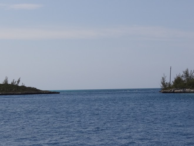 Current Cut looking benighn and very lovely today