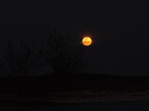A full moon rose 5 mins after the sun set