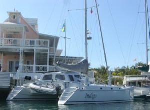 Indigo looking spiffy after her spa treatment