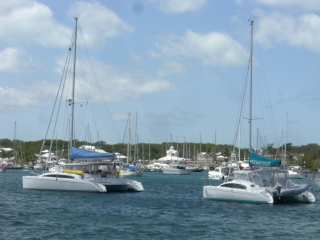 A great view while you dine- Ortolan and Moondoggy a MC30. Big cat, little dog