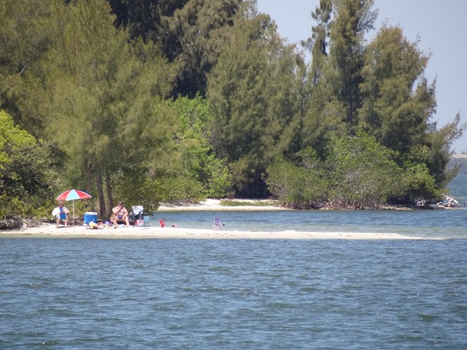 Locals find a sunny spot in the lee of trees on a large ICW spoil island