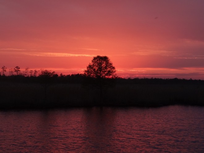 We do love our creeks and their sunsets
