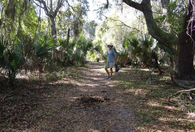 River trail and horse evidence- which we saw everywhere- all day. Caution advised!