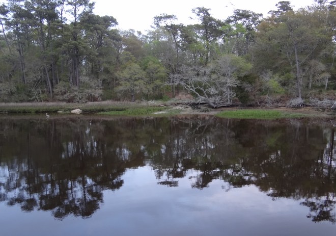 Our evening shoreside view at Calabash Creek
