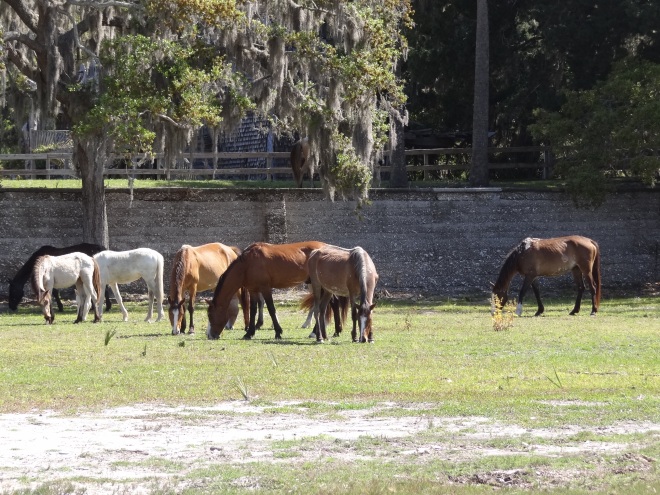 The only horses we saw were near the mansion
