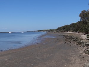 Low tide at the Sea Camp Dock area