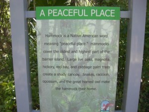 Info sign along River to Sea Trail