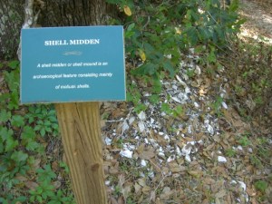 Native American shell mound