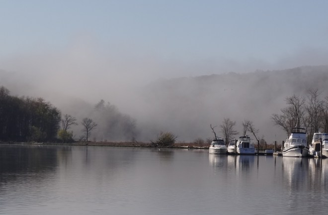 A misty morning greets us on May 2nd