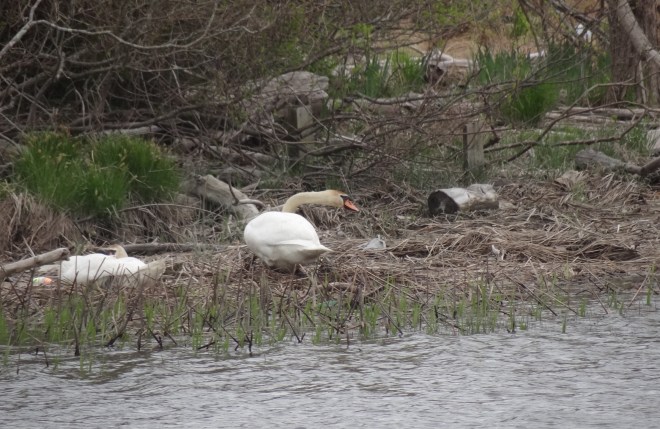 I'll leave you to it and critique your work later 