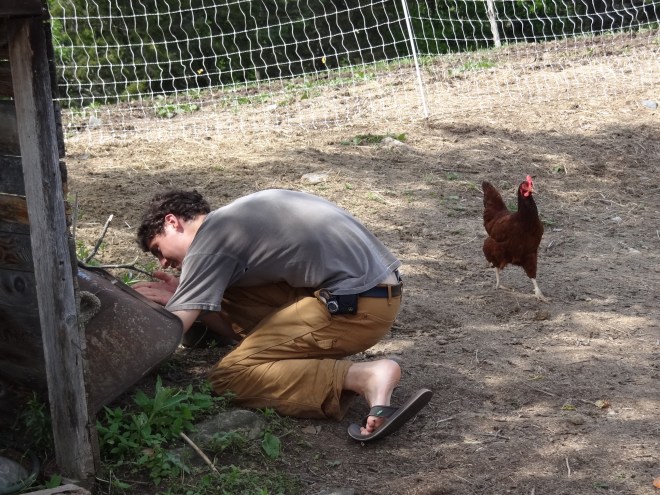 An egg hunt- those hens can be sneaky