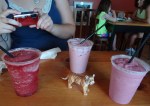 Our table tiger guards the delicious smoothies
