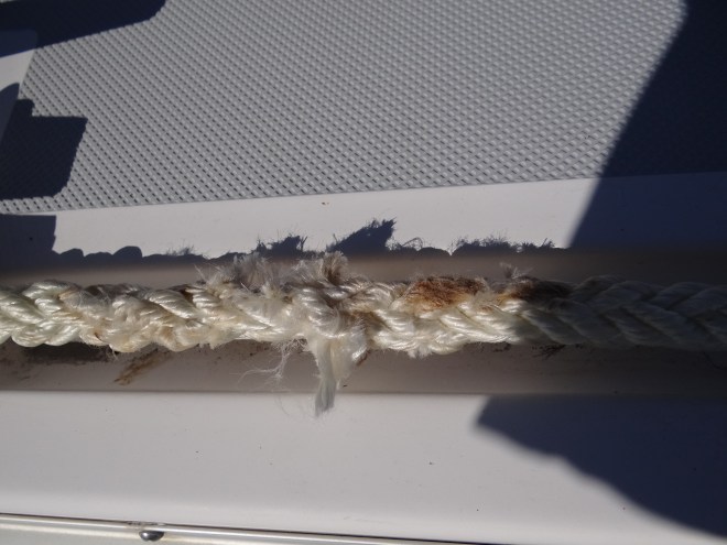 So soft and fluffy, the anchor windlass found our new line a tasty morsel