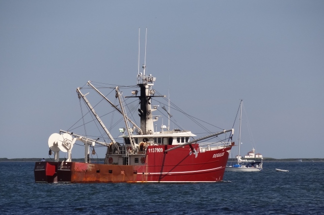 One of the boro's commercial fishing fleet heads out