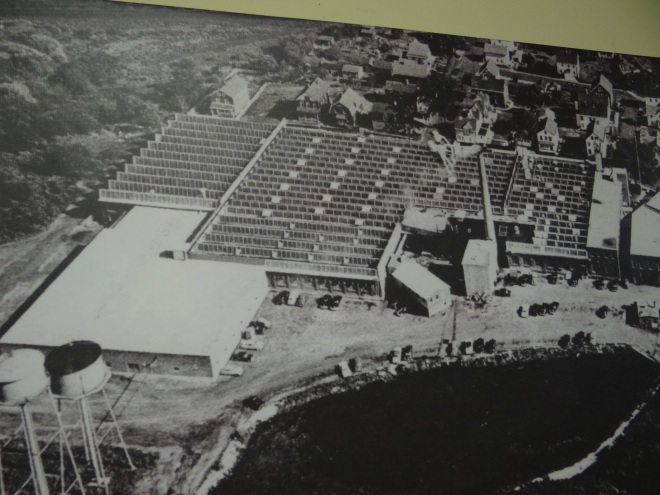 Overhead photo of the factory- note the multi-peaked roof that brings in more light
