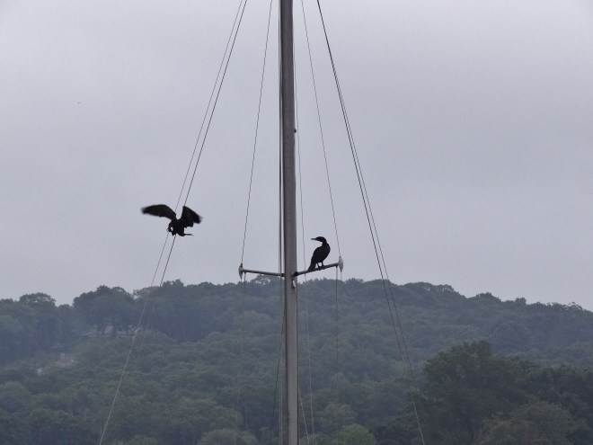 Slip sliding down the backstay