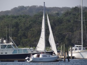 Ms Viv prepares to sail away from the dock