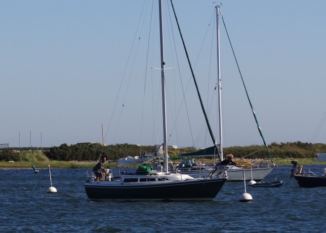 She reaches out, she's got the line ready... yes! She's got it!