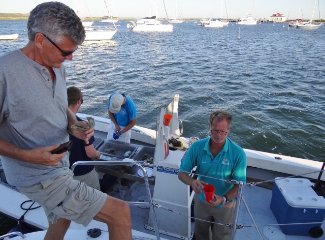 The Cuttyhunk Raw Bar delivers the goods