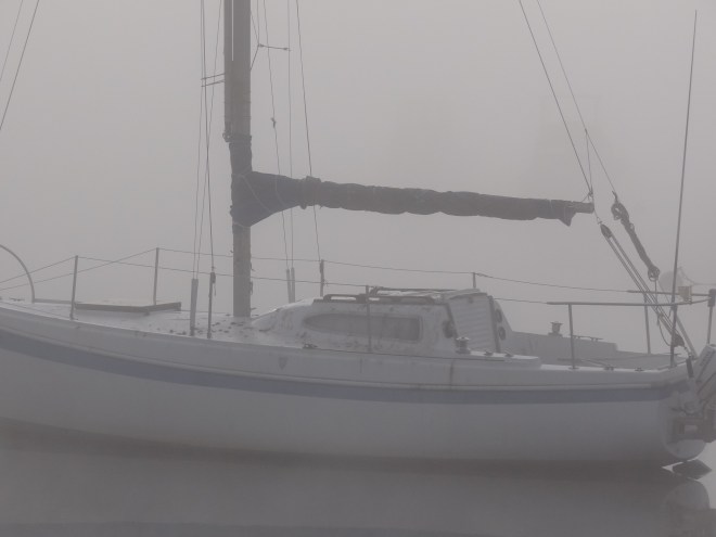 Preferred by Deep River cormorants 3 to 1