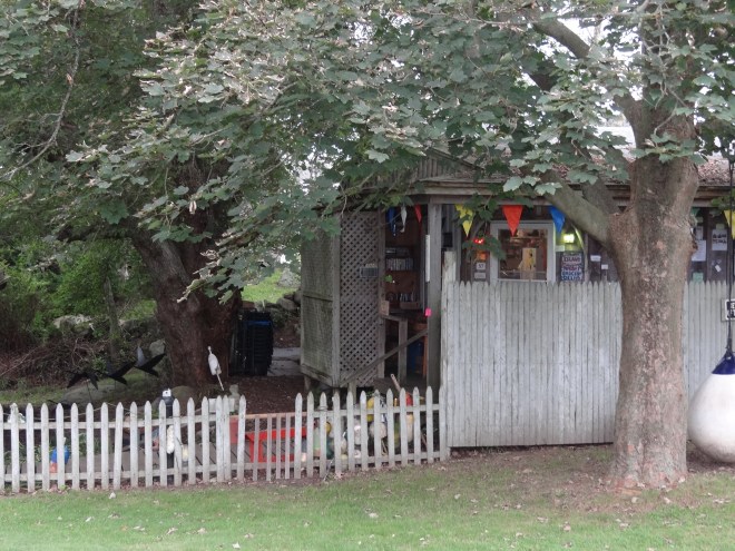 The Island Market carries all the basics plus a book swap and DVD rentals