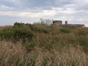 Looking up to the mid bunker from the lower one