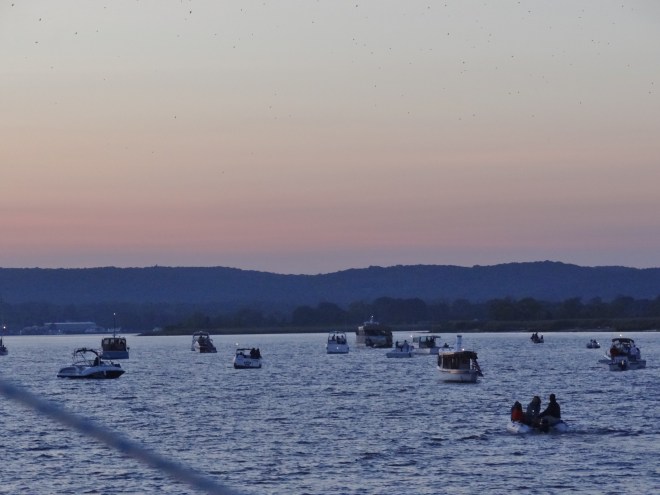 The boats gather to await the swallows