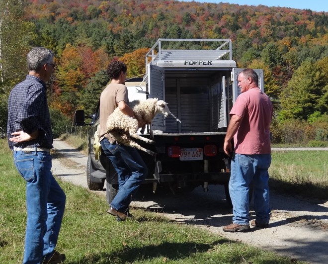 In she goes; ample room for three. No fussin' either.