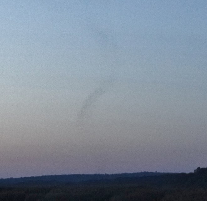 The dark area is the swallow vortex about to descend into the marsh