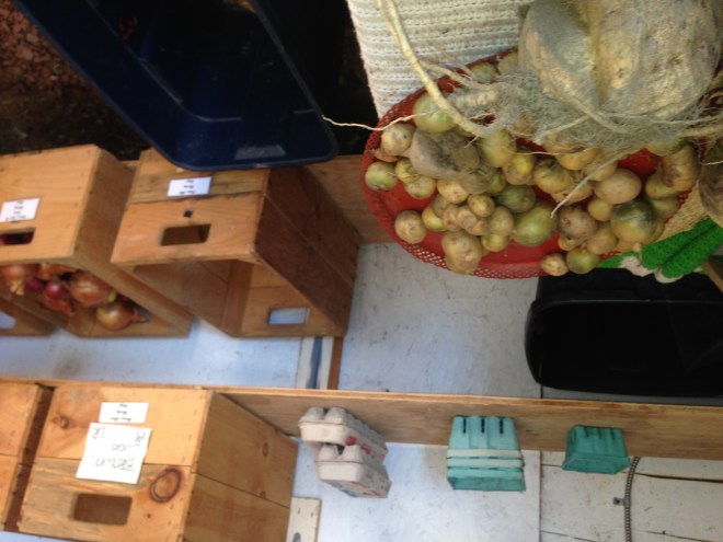 The farm at Green Mtn College offers a CSA