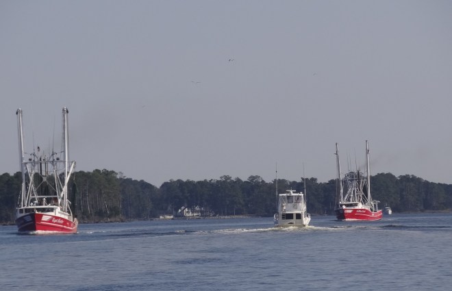 One after the other they came at us as we left Oriental toward Beaufort